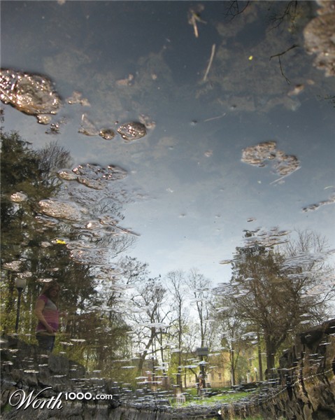 Photography by megrandy