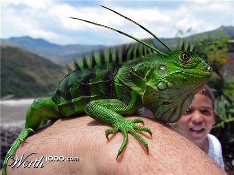 Photoshop Design by hazelann