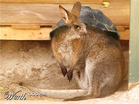 Photoshop Design by swichone