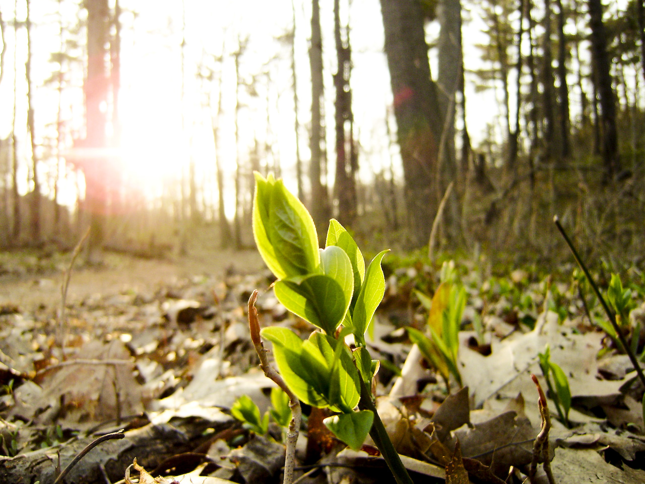 Photography by mirrrr for DesignCrowd (Community Contests) | Design #8937634