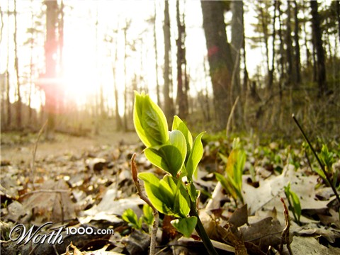 Photography by mirrrr