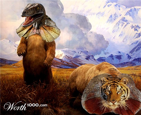 Photoshop Design by DeathMerchant