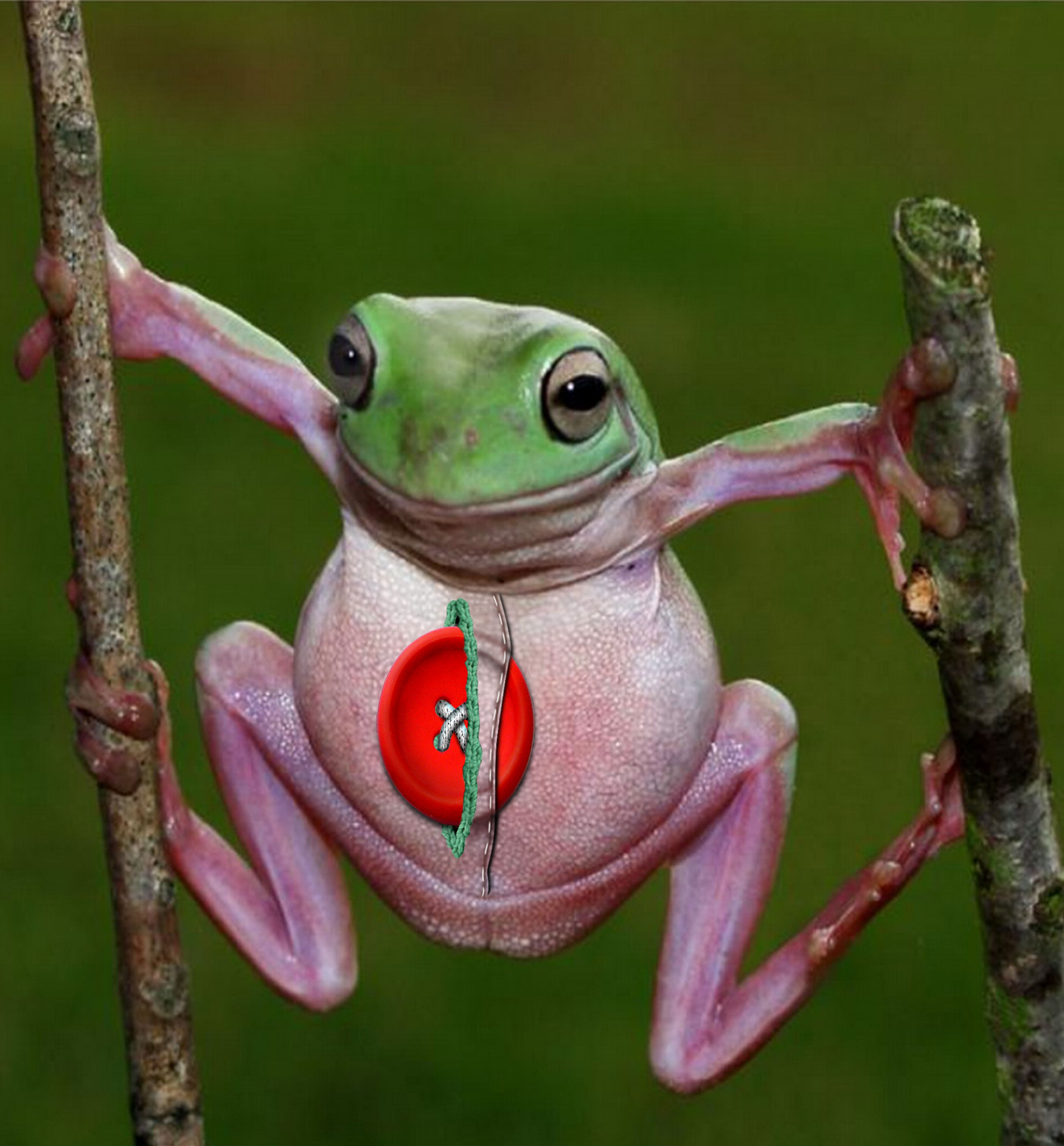 Photoshop Design by PixelTestMT for DesignCrowd (Community Contests) | Design #8936488