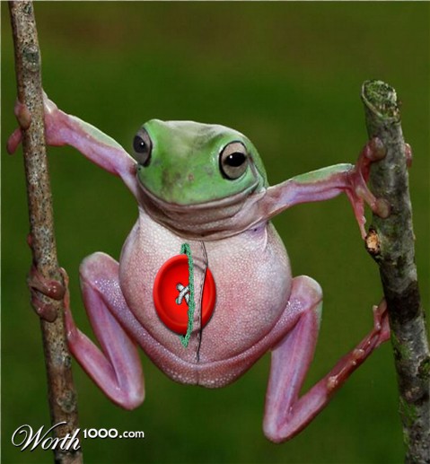 Photoshop Design by PixelTestMT