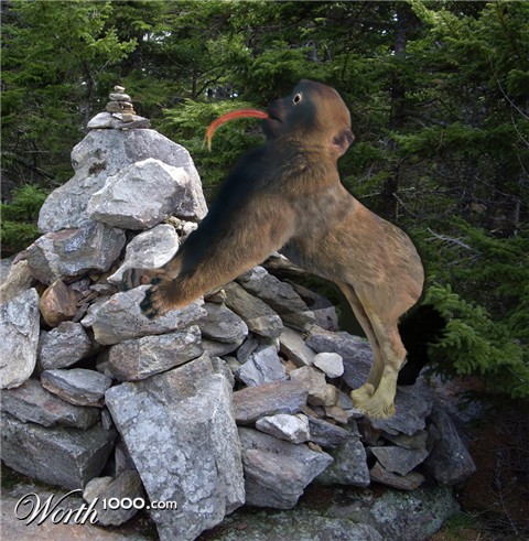 Photoshop Design by ashman1985