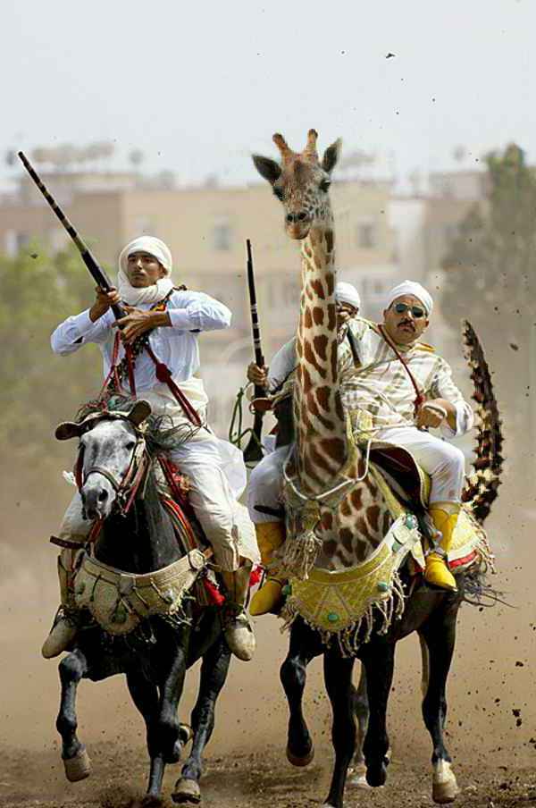 Diseño de Photoshop por graxxxz para DesignCrowd (Community Contests) | Diseño #8942338