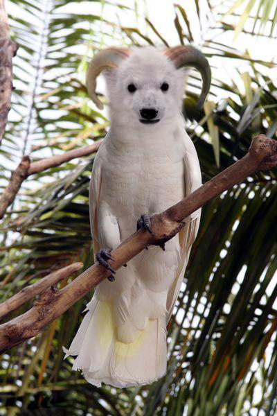 Photoshop-Design von frank1956 für DesignCrowd (Community Contests) | Design #8942353