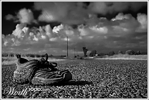 Photography by mated1976