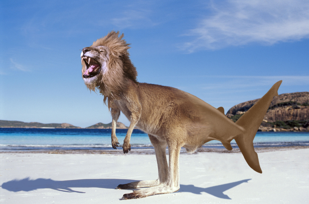 Diseño de Photoshop por hoaxymore para DesignCrowd (Community Contests) | Diseño #8942346