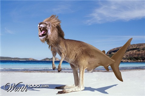 Photoshop Design by hoaxymore