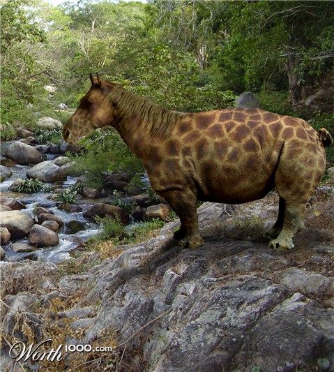 Photoshop Design by doodler