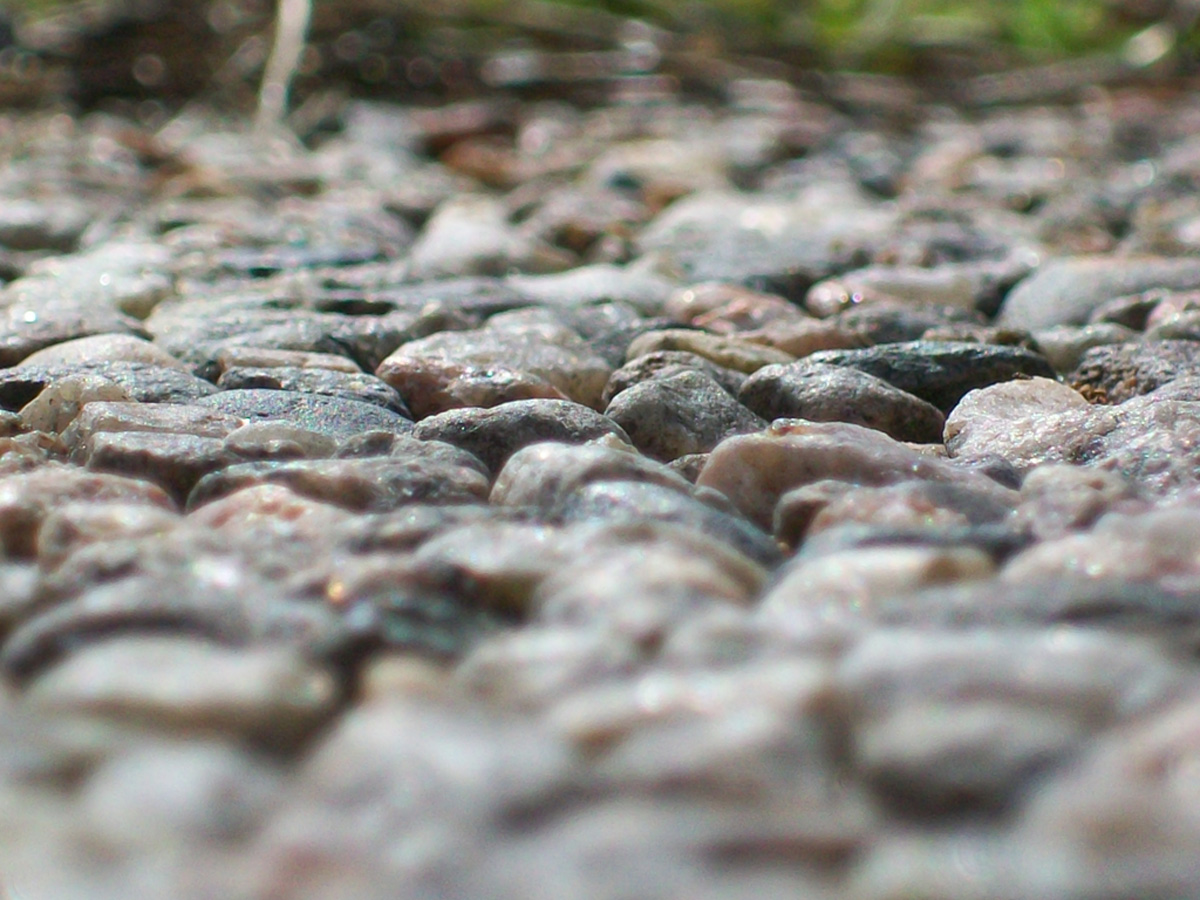 Photographie par thomasleo94 pour DesignCrowd (Community Contests) | Design #8937657