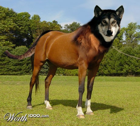 Photoshop Design by Nisroc