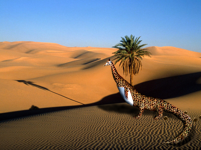 Photoshop Design by brdispatch05 for DesignCrowd (Community Contests) | Design #8942287