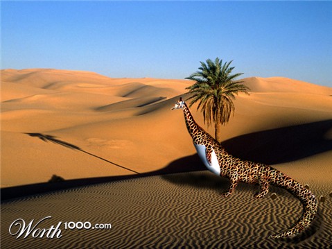 Photoshop Design by brdispatch05