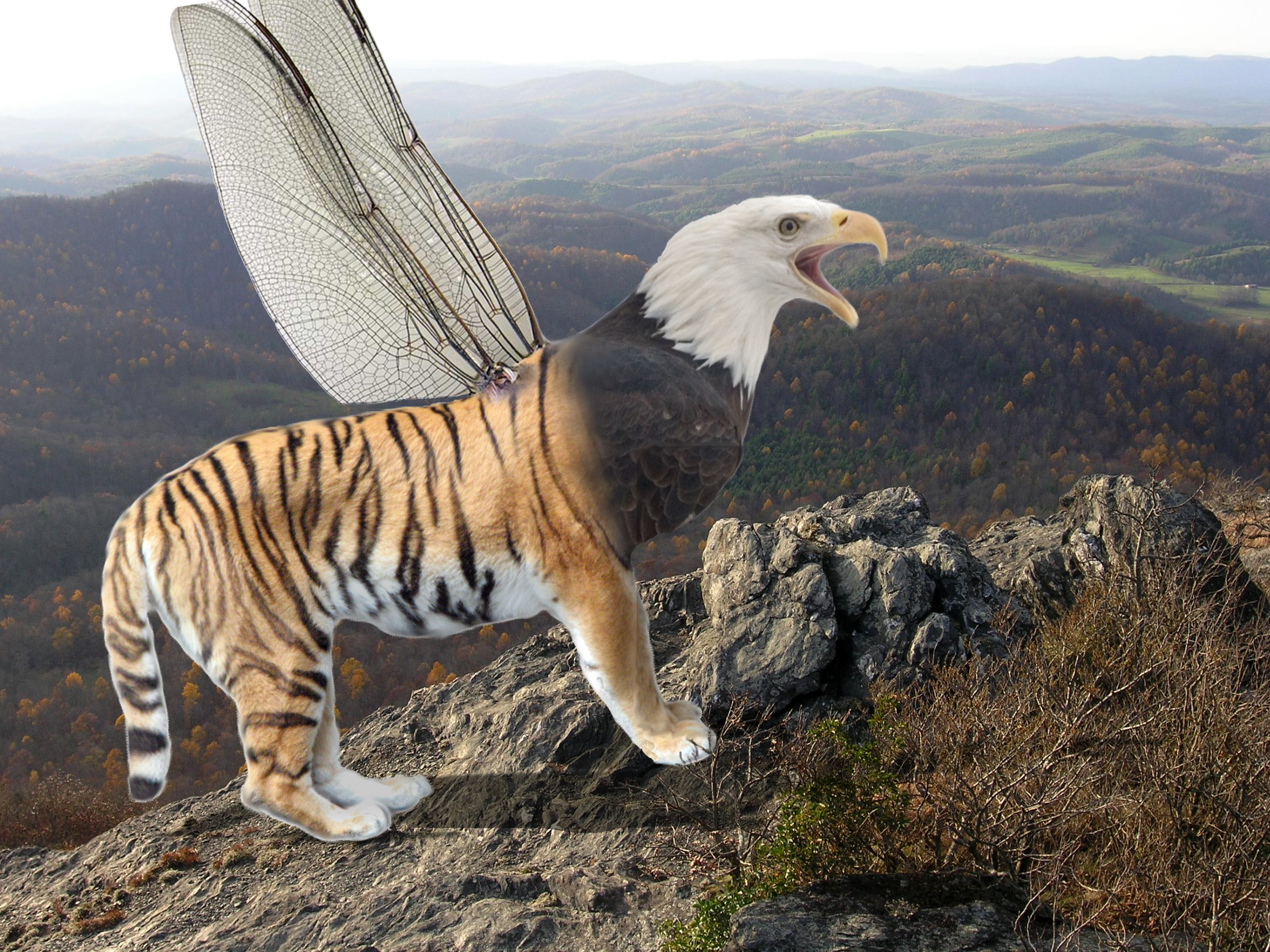 Diseño de Photoshop por blazer21 para DesignCrowd (Community Contests) | Diseño #8942330