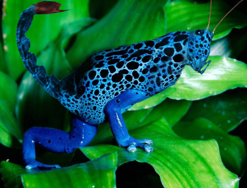 Photoshop-Design von pochiex2 für DesignCrowd (Community Contests) | Design #8942327