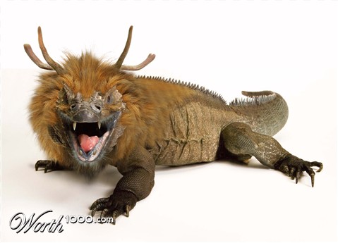 Photoshop Design by budiyono