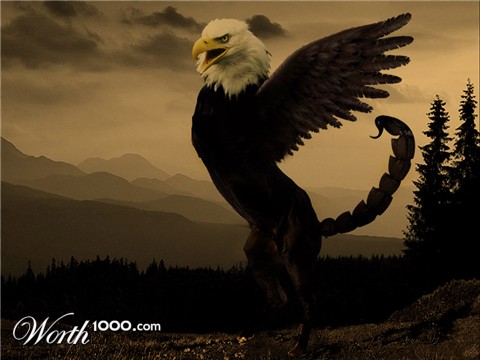 Photoshop Design by shpongle