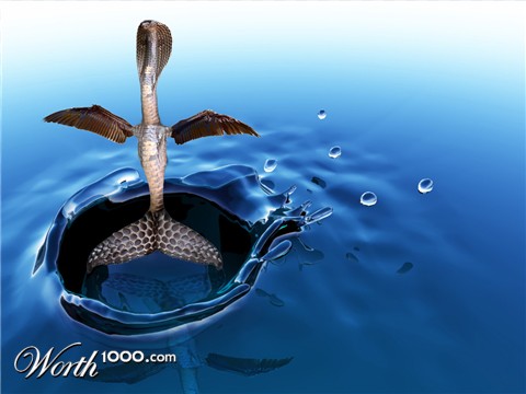 Photoshop Design by crazyfoo