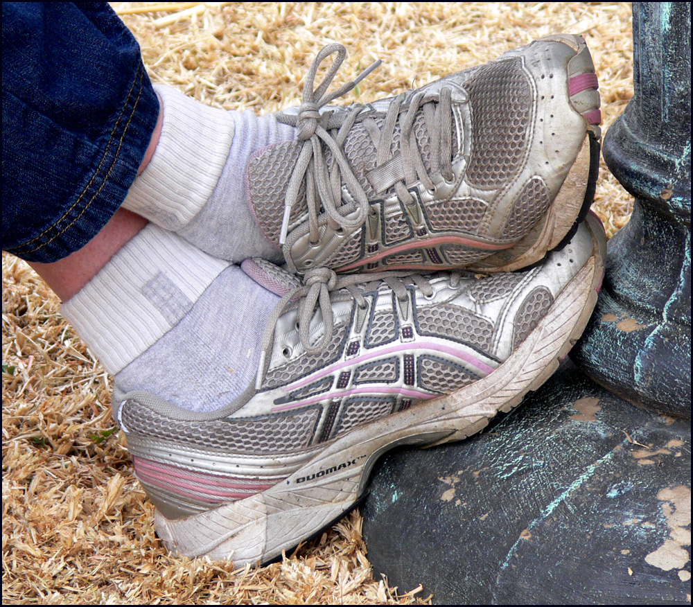 Photography by droomluiperd for DesignCrowd (Community Contests) | Design #8937411