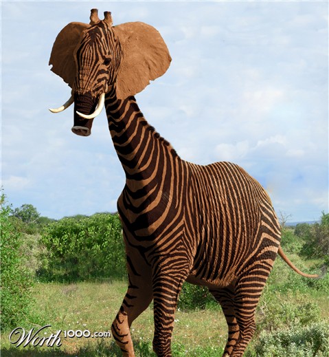 Photoshop Design by rmcelroy