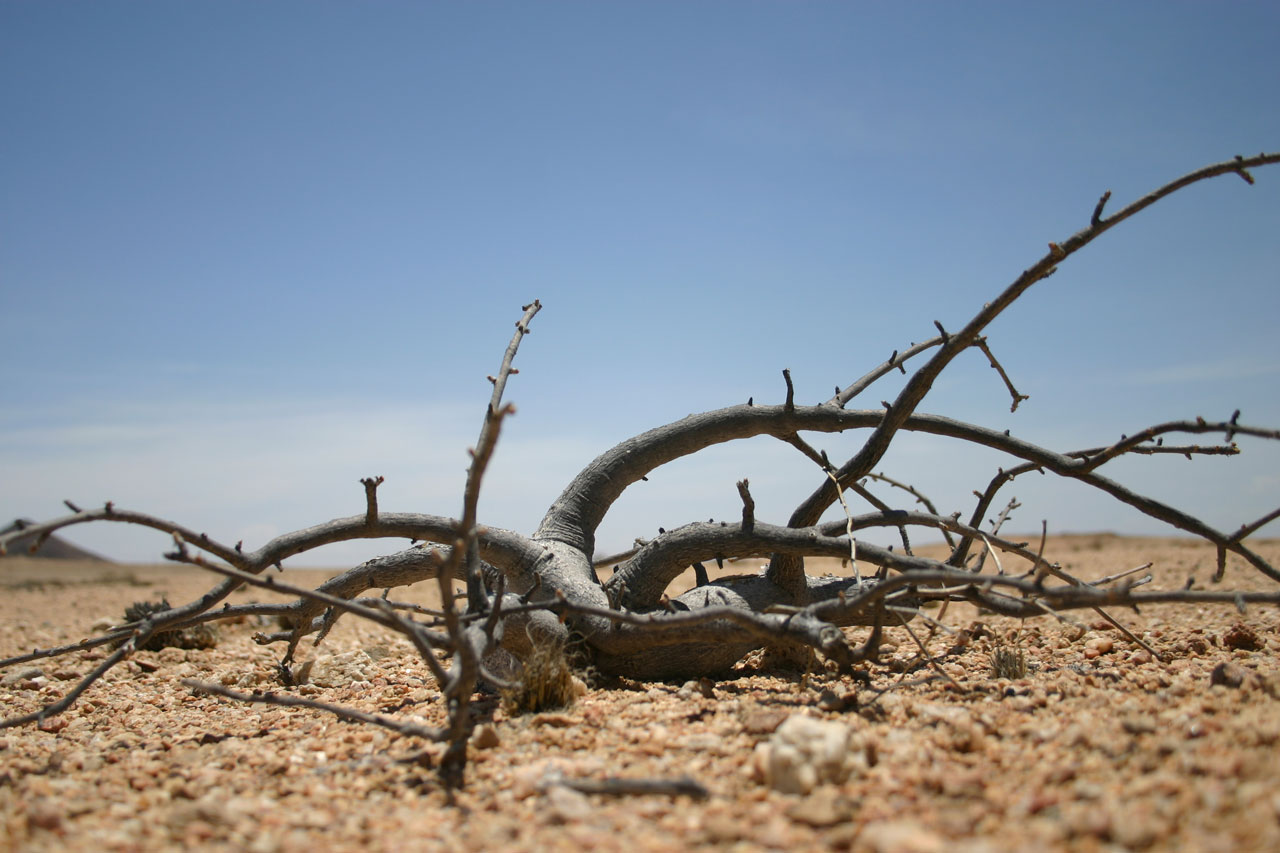 Photography by jacohaasbroek for DesignCrowd (Community Contests) | Design #8937677