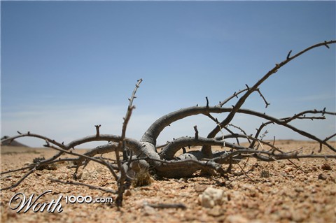 Photography by jacohaasbroek