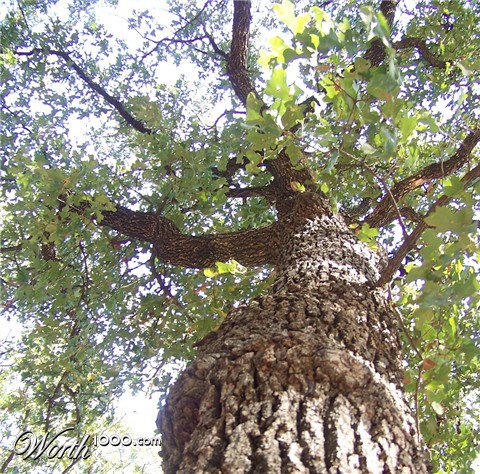 Photography by Mydonna