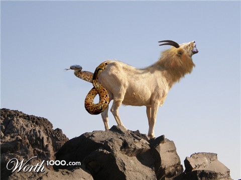 Photoshop Design by kathiess