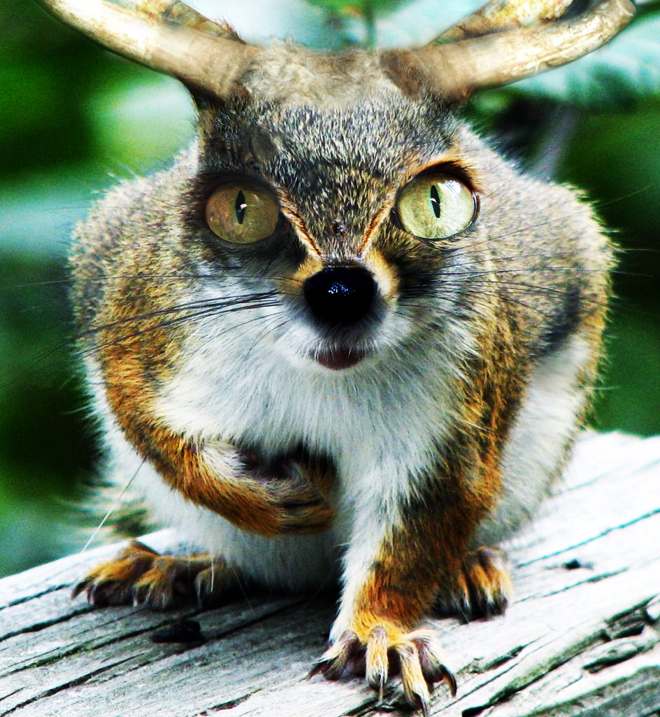 Photoshop-Design von parker2k für DesignCrowd (Community Contests) | Design #8942313