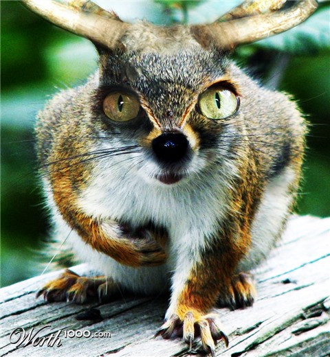 Photoshop Design by parker2k