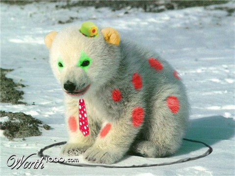 Photoshop Design by CerealKillerbtv