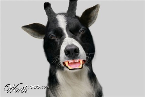 Photoshop Design by nzanikoo