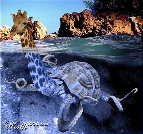 Photoshop Design by fouljack
