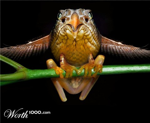 Photoshop Design by wyrik22