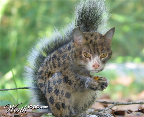 Photoshop Design by Ydiot