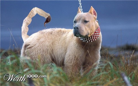 Photoshop Design by billbartlett