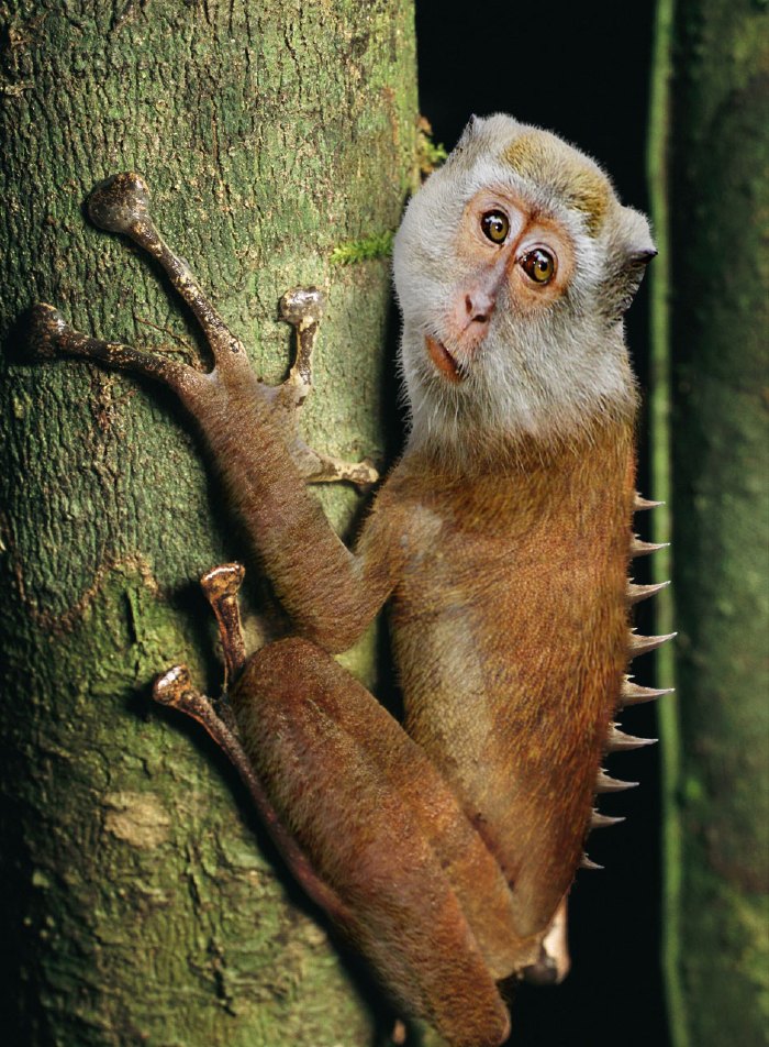 Photoshop Design by IceYeti for DesignCrowd (Community Contests) | Design #8942376