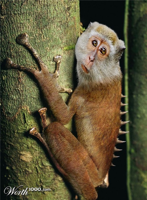 Photoshop Design by IceYeti