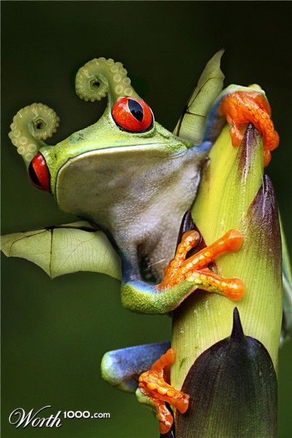 Photoshop Design by error5001