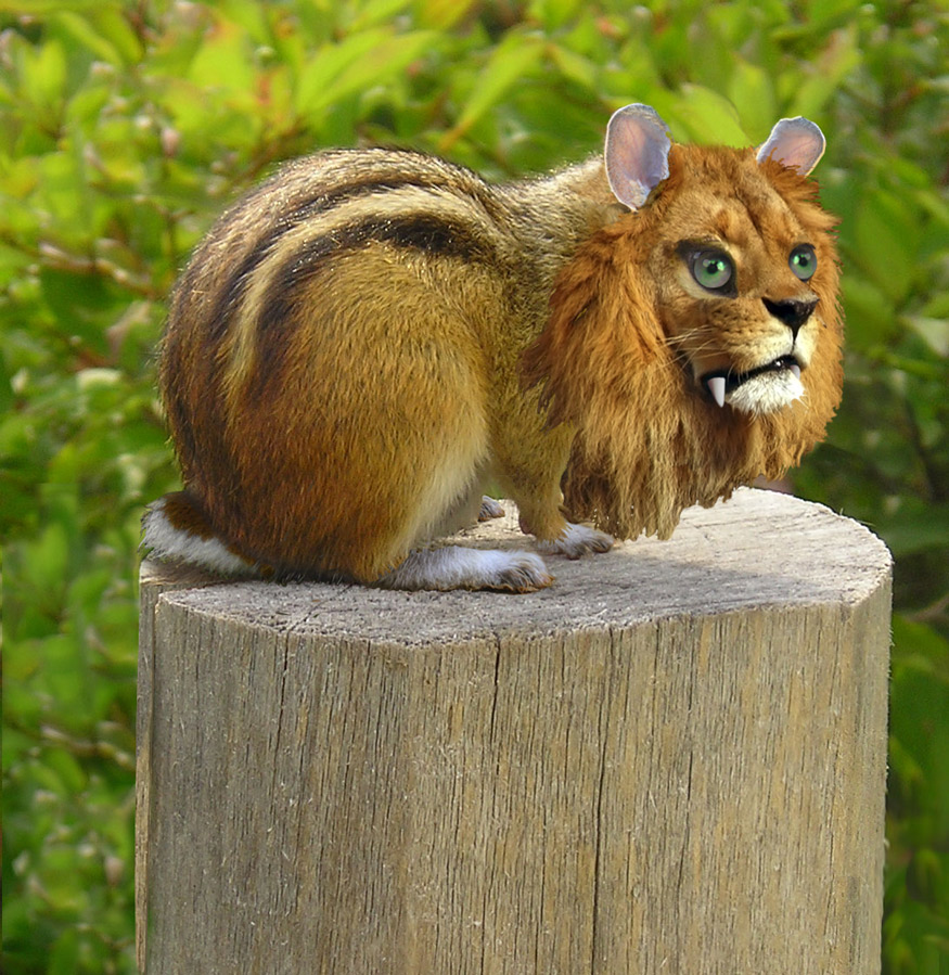 Photoshop-Design von sunny2Day für DesignCrowd (Community Contests) | Design #8942403