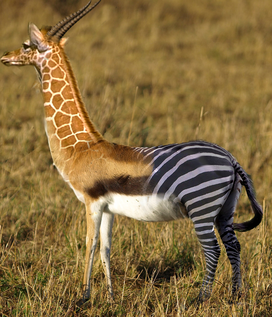 Photoshop-Design von maddiemay für DesignCrowd (Community Contests) | Design #8942406