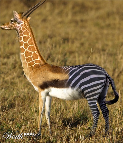 Photoshop Design by maddiemay