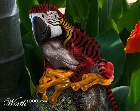 Photoshop Design by LunarRose