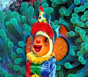 Photoshop Design by Takes2Hands2 for DesignCrowd (Community Contests) | Design #8940510