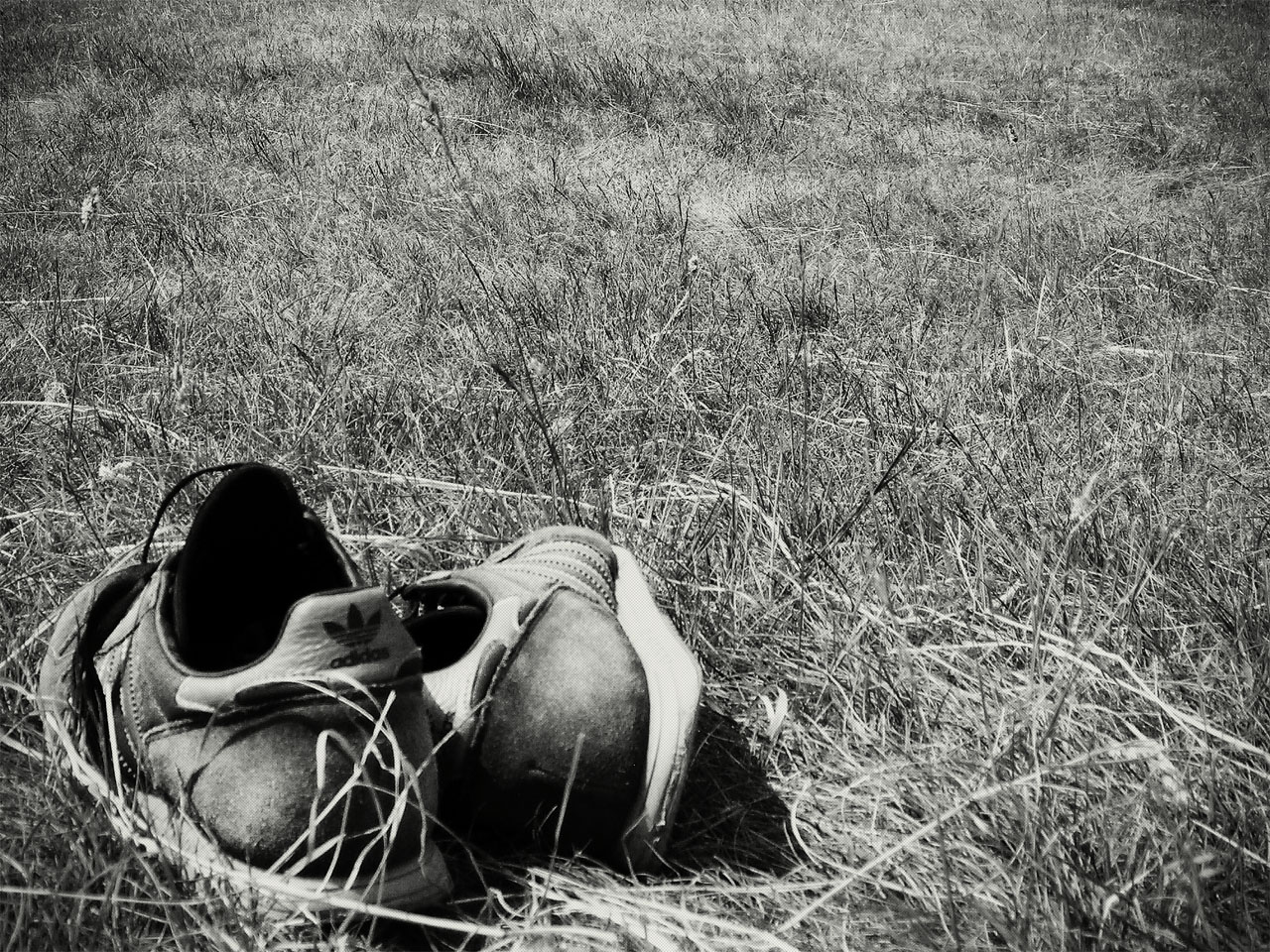 Photographie par Alloni pour DesignCrowd (Community Contests) | Design #8937417