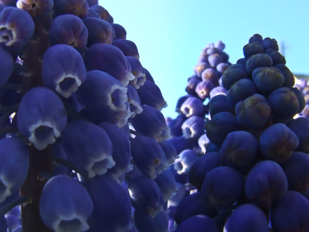 Photography by Audrey Kerchner for DesignCrowd (Community Contests) | Design #8937716