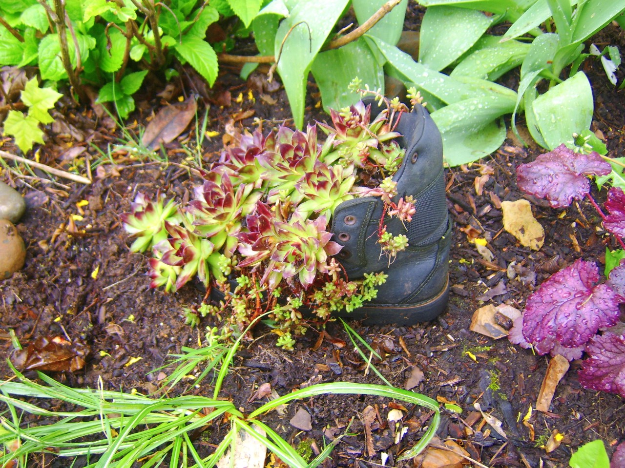 Photography by billbartlett for DesignCrowd (Community Contests) | Design #8937426