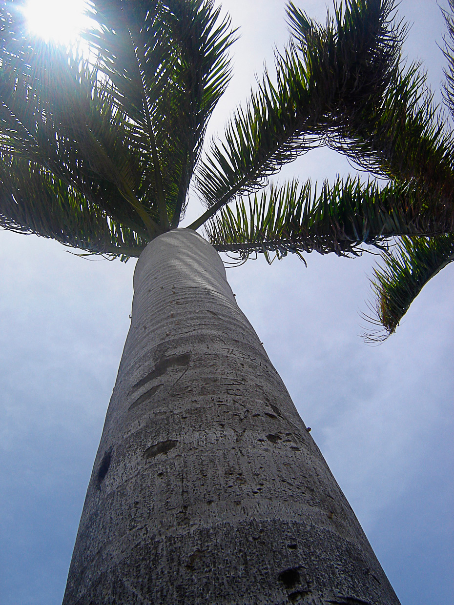 Fotografía por erguille para DesignCrowd (Community Contests) | Diseño #8937664